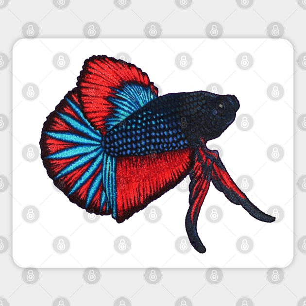 Pointillism Betta Fish Magnet by Orphean Designs